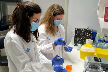 Les investigadores postdoctorals ebrenques Laia Reverté Calvet i Noèlia Gallardo Borràs, treballant en la investigació del càncer de mama del projecte Emma.