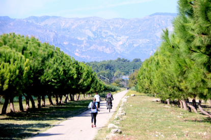 Usuaris circulant pel tram de la via verda de la Vall de Zafán entre Tortosa i Roquetes.