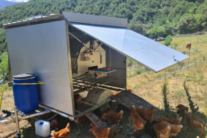 La caravana de gallinas de la granja La Bana, al Pallars Sobirà, donde duermen y ponen.