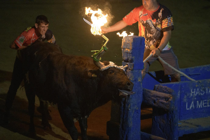 Imatge d'una festa amb bou embolat a l'Ampolla.