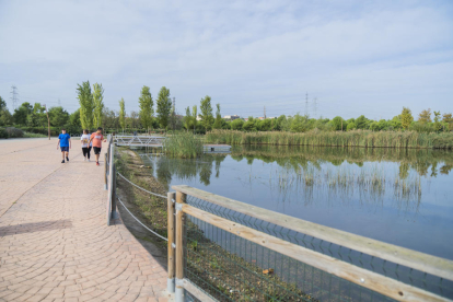 Imatge actual de la llacuna de l'Anella Mediterrània, que es renaturalitzarà a través del programa Greenbelt'26.