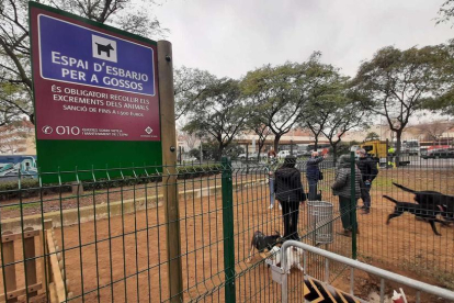 Imatge d'arxiu de la zona d'esbarjo per a gossos a l'àmbit de Mas Iglesias.