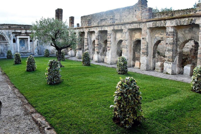 Vista de la casa d'Ancora, una de les set que ara ja es pot visitar a Pompeia.