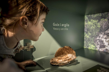 'Triàsic, explosió de vida', al Museu d'Alcover.