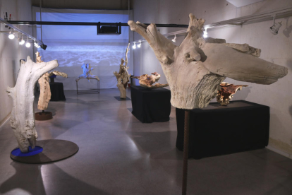 Vista general de l'exposició 'Troncs de mar' al museu de l'Ebre de Tortosa, amb la peça "Aire" en primer pla.