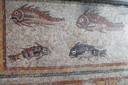 Detall del Mosaic dels Peixos del MNAT que ha estat restaurat al mateix museu.