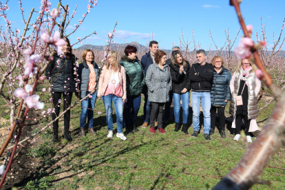 Representantes del Consell Comarcal de la Ribera d'Ebre y de los ayuntamientos de la comarca que participan en la campaña Ribera en Flor, en medio de un campo de melocotoneros en flor en Benissanet.