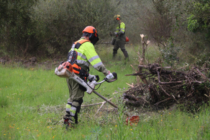 Una brigada del GEPIF duu a terme tasques de desbrossament per evitar incendis forestals en una finca de Godall.