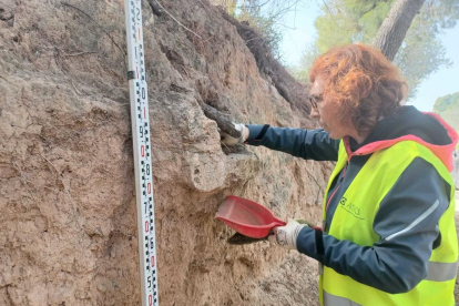 Les peces van ser detectades per la Patrulla Verda i Medi Ambient de la Policia Local de Cambrils.