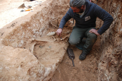 Un arqueólogo limpiando los restos óseos de la fosa de la Guerra Civil en el cementerio de Masdenverge.