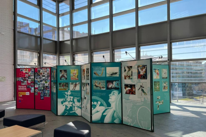 Imatge de l'exposició sobre dones esportistes a la Fira Centre Comercial de Reus.