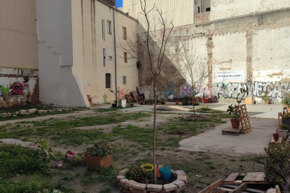 Els veïns han col·locat plantes, arbres i bancs durant els darrers mesos al solar del carrer Smith.