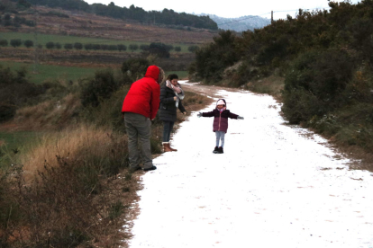 Una família jugant ahir a tirar-se boles de neu en un camí proper al municipi de Sarral.