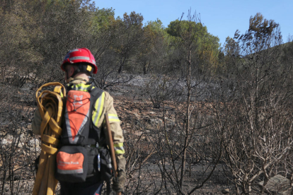 Un bomber repassa zones calcinades a l'incendi de Calafell.