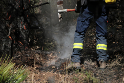 Detall del terra del bosc fumejant després de l'incendi de Calafell.