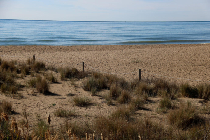 Una de las zonas de las playas del Vendrell donde se fomentará la regeneración dunar.
