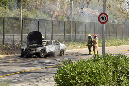 El vehicle cremat al costat de la via.