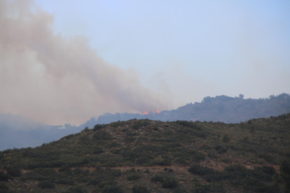 Les primeres flames de l'incendi originat a la Catalunya del Nord que entren a Portbou.