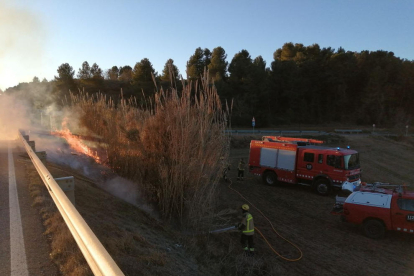 Los Bomberos extinguiendo el incendio en los márgenes de la carretera TP-2311.