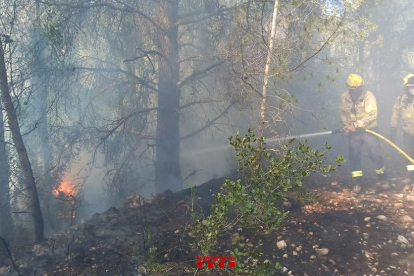 Imatge de l'incendi forestal a Tortosa.