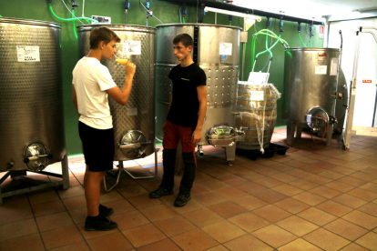 Dos alumnos de la Escuela Agraria de Gandesa realizan pruebas de vino.