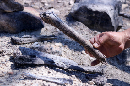 Huesos humanos de soldados de la batalla del Ebro en la zona quemada por el incendio de Corbera d'Ebre.