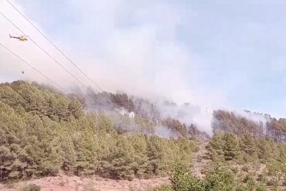 Imatge de l'incendi a Vandellòs i l'Hospitalet de l'Infant.