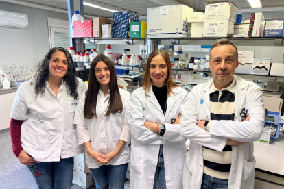 Parte del equipo de investigadores del Grupo de Investigación DIAMET de la IISPV: Lidia Cedó, Teresa Villanueva, Sonia Fernandez-Veledo y Joan Vendrell.