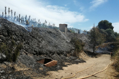 El foc de Flix ha crema 900 metres quadrats de vegetació de ribera.