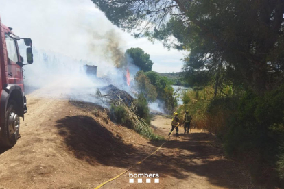 El foc s'ha produït en un canyar al costat del riu Ebre.