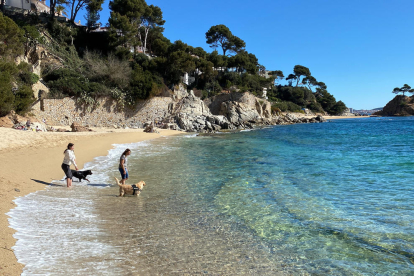 La playa para perros de Calonge y Playa de Aro.