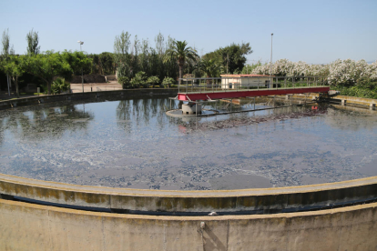 Imatge d'una de les piscines de les instal·lacions d'Aigües de Reus.