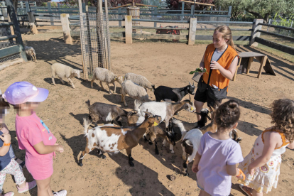 Una treballadora està a punt de donar menjar a ovelles i cabres davant l'atenta mirada dels nens.