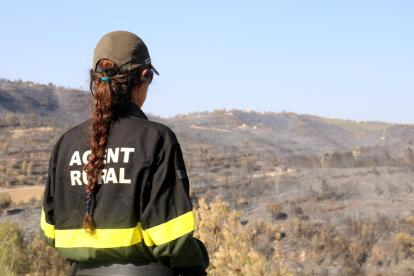 Una agent rural contempla la zona de l'incendi .