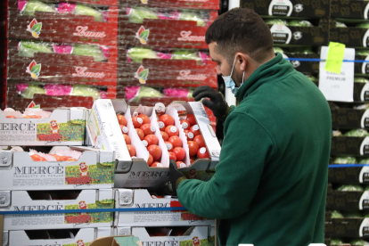 Un treballador col·locant producte a una de les parades de fruites i verdures.