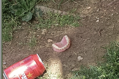 Imatge d'una dentadura al costat d'una cervesa trobada al barri de Sant Pere i Sant Pau de Tarragona,