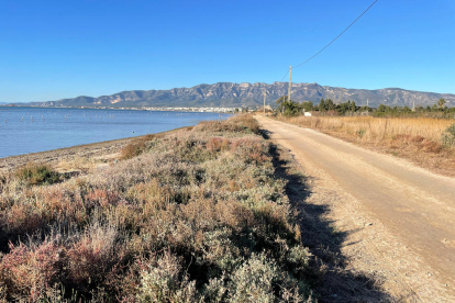 Una de las zonas de la bahía de los Alfacs donde se hará la guarda de protección.