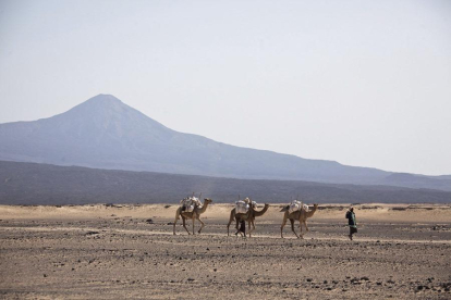 Fotografia d'arxiu d'un camellero en el desert de Danakil, en el nord d'Etiòpia.