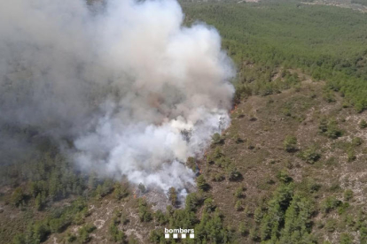 El foc forestal s'ha decretat en una zona de difícil accés.