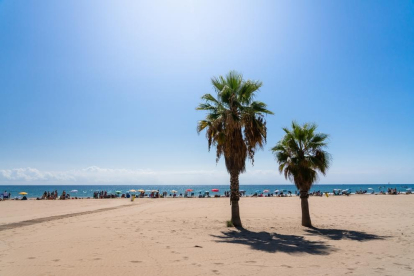 Los hechos se han producido en la playa de la Paella de Torredembarra.