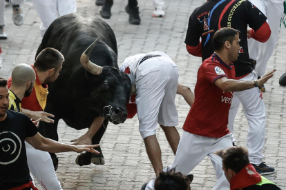 Un mosso s'enreda amb un dels toros durant el setè 'encierro'.