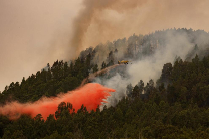 Un avió participa en les tasques d'extinció d'incendi forestal en el municipi de Tenerife del Rosari.