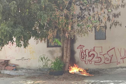 Imatge del petit incendi originat en un descampat del carrer Smith de Tarragona.