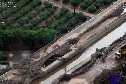 Operarios trabajan para sacar ramas de la C-12 entre Amposta y Tortosa.