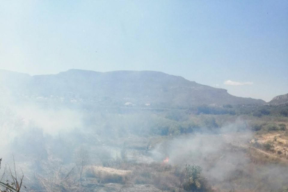 Imatge de l'incendi de vegetació a Picamoixons.