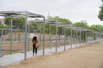 Imatge d'una persona passejant sota la pluja pel parc del Roserar.