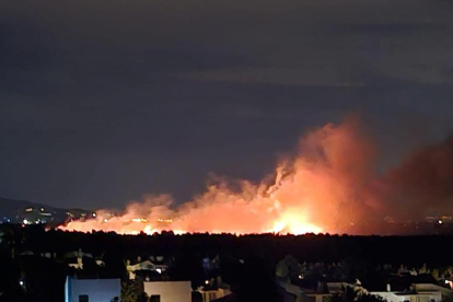 Imatge de l'incendi a la zona de les Planes.