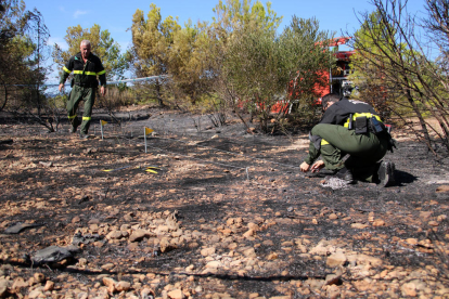 Els Agents Rurals investigant les causes de l'incendi de Mont-roig del Camp.