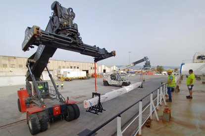 ​​​​​​​La operativa de descarga del palo de grandes dimensiones se llevó a cabo en el muelle de Rioja.