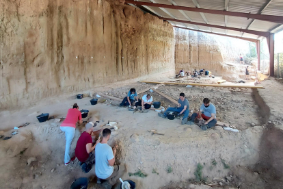 Excavació d'aquests dies en el sector la Mina, al Barranc de la Boella. Foto: Palmira Saladié/IPHES-CERCA